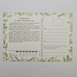 Картинка 2