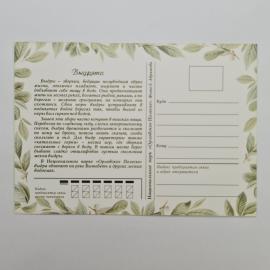 Картинка 2