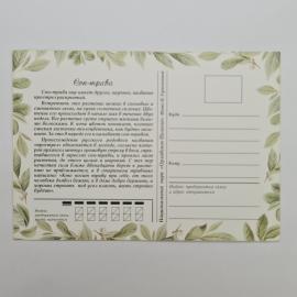 Картинка 2