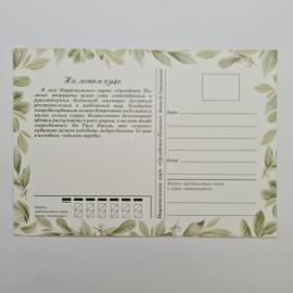 Картинка 2