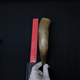 Картинка 4