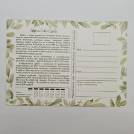 Картинка 2