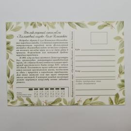 Картинка 2