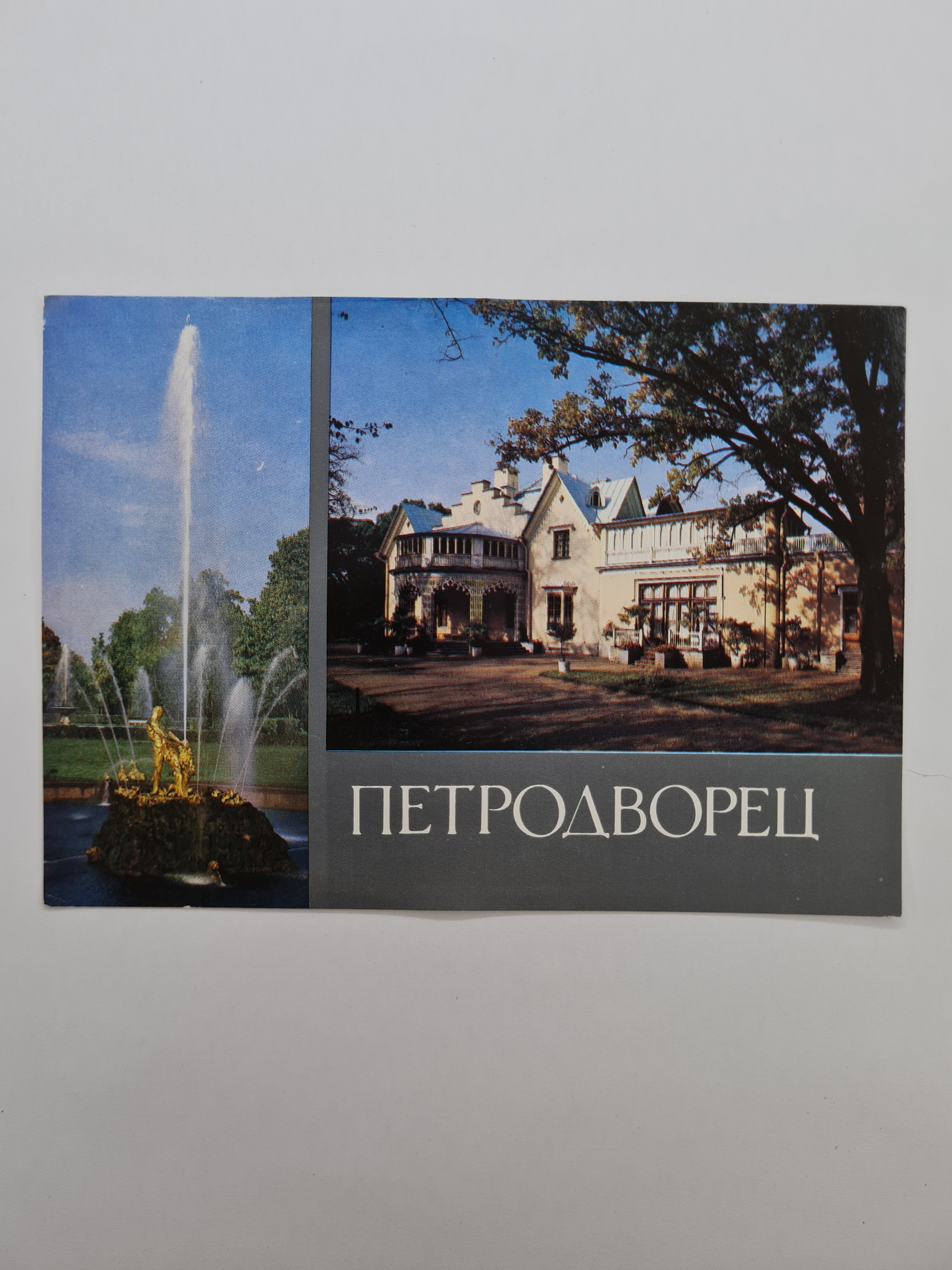 Картинка 1