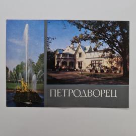 Картинка 1