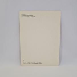 Картинка 2