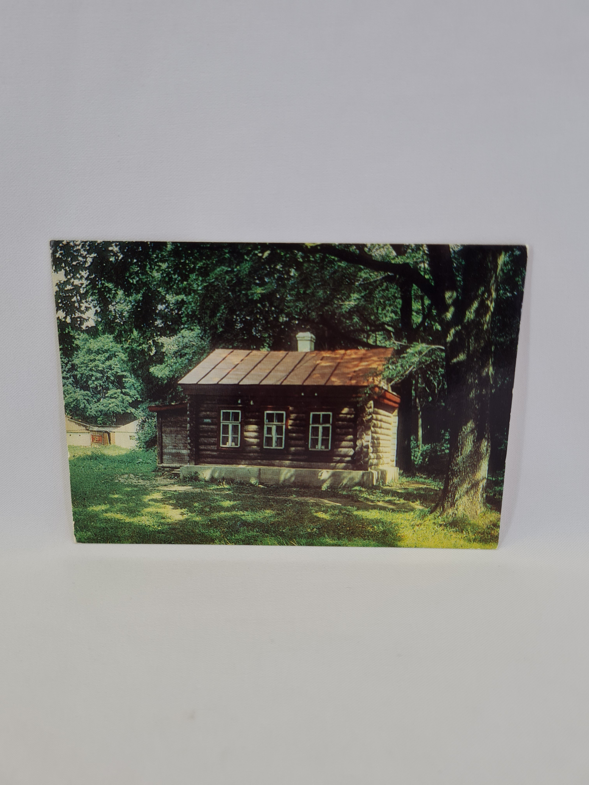 Картинка 1