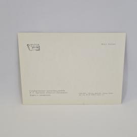 Картинка 2
