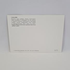 Картинка 2