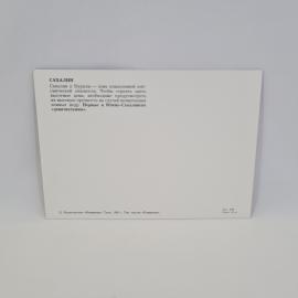 Картинка 2