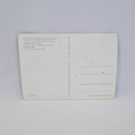 Картинка 2
