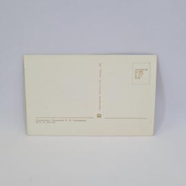 Картинка 2