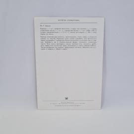 Картинка 2