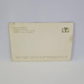 Картинка 2