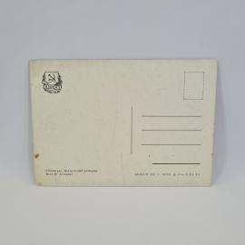 Картинка 2