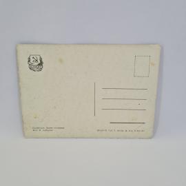 Картинка 2