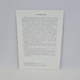 Картинка 2