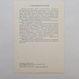 Картинка 2