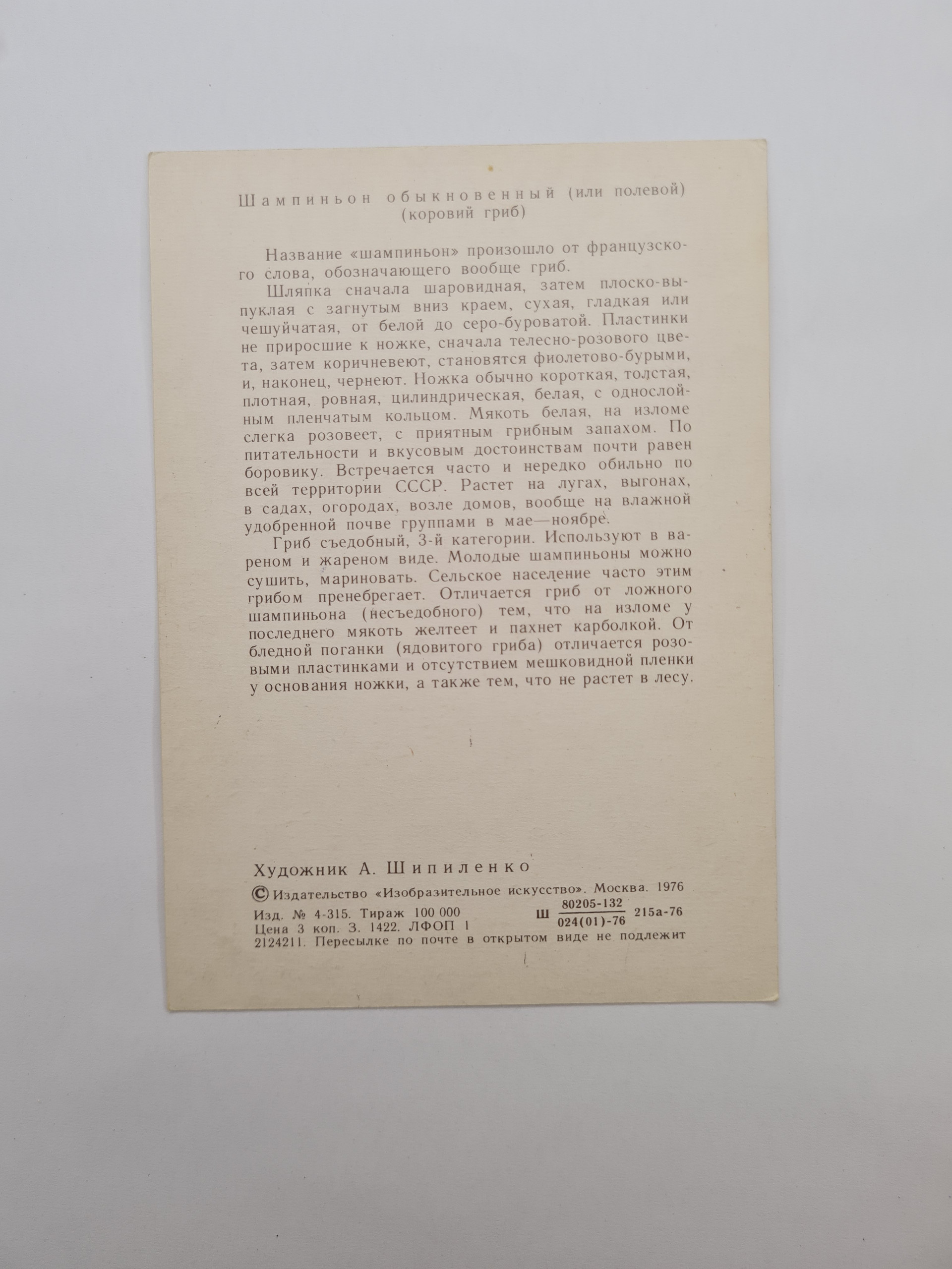 Картинка 2
