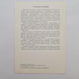Картинка 2