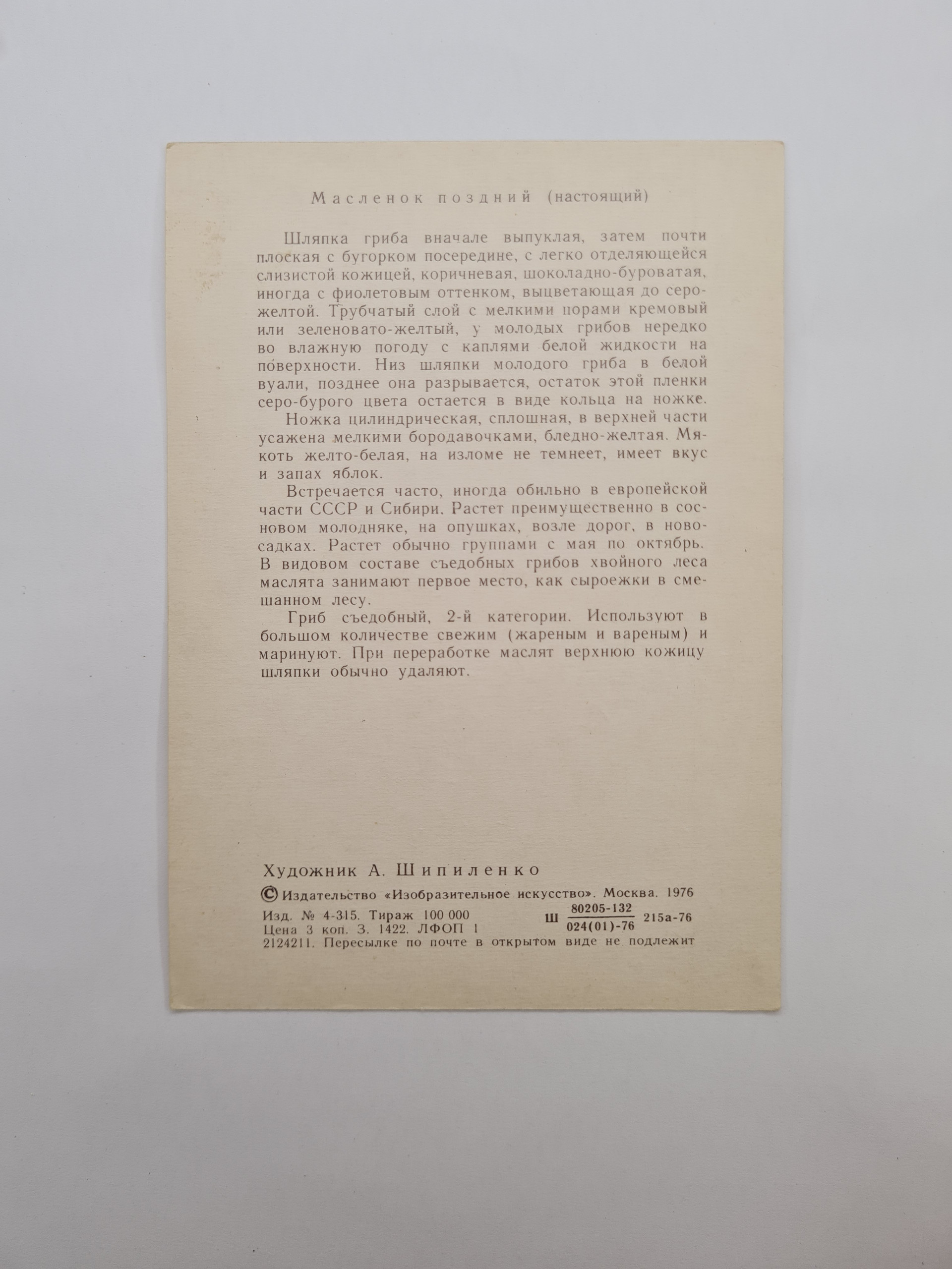 Картинка 2
