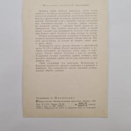 Картинка 2