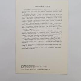 Картинка 2