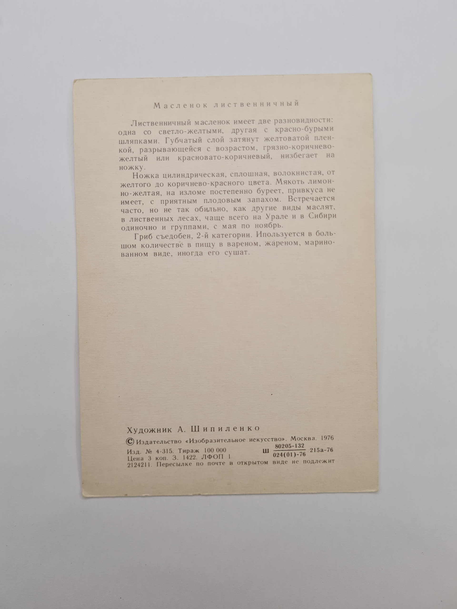 Картинка 2
