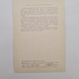 Картинка 2