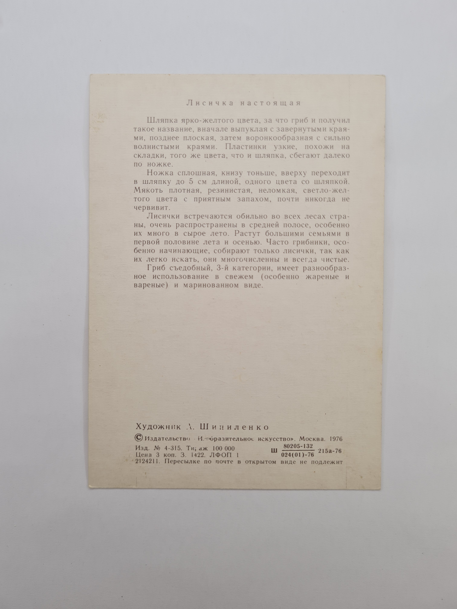 Картинка 2