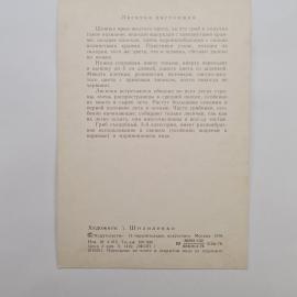 Картинка 2