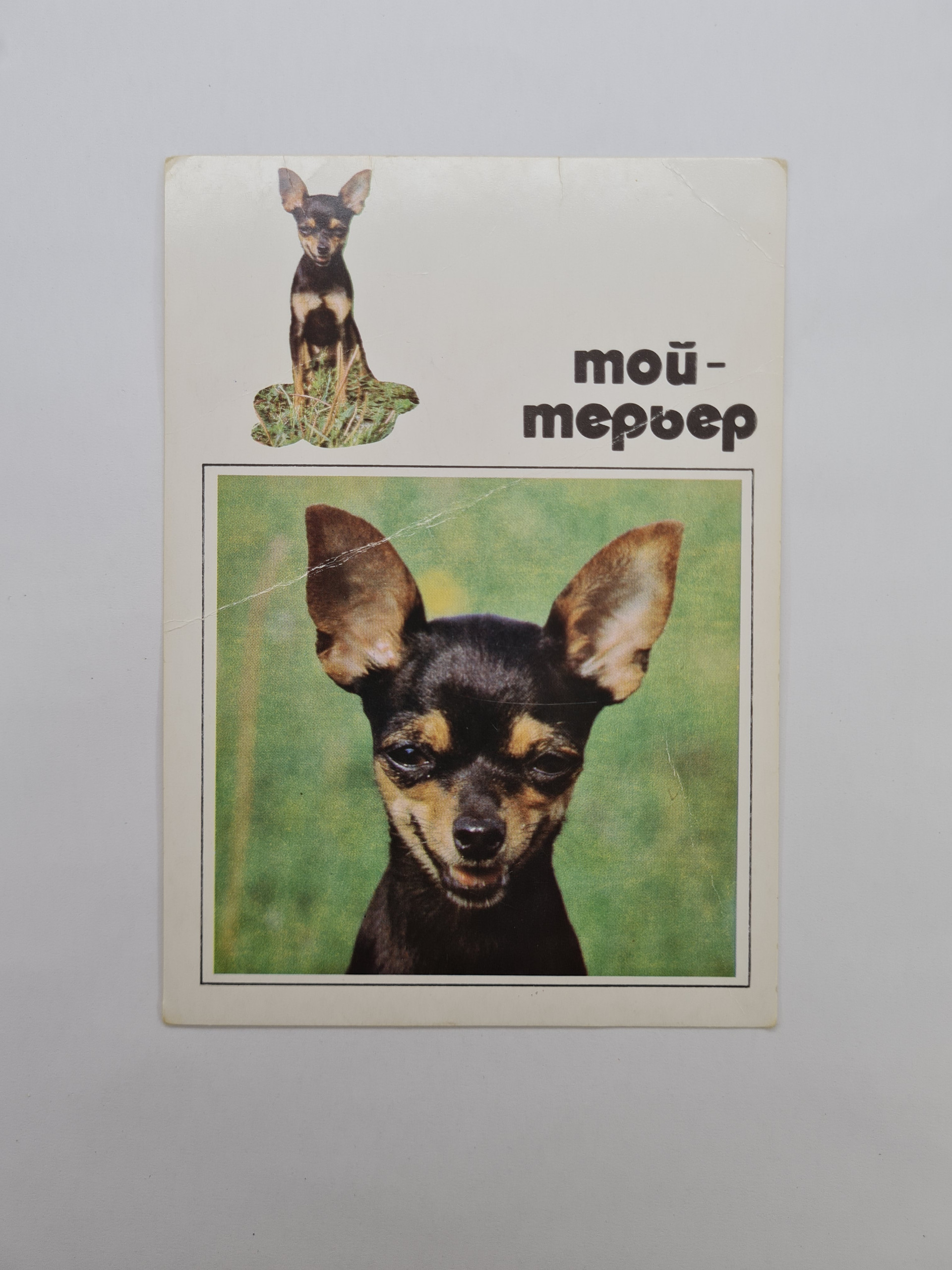 Картинка 1