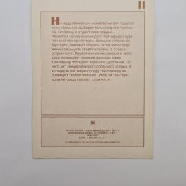 Картинка 2