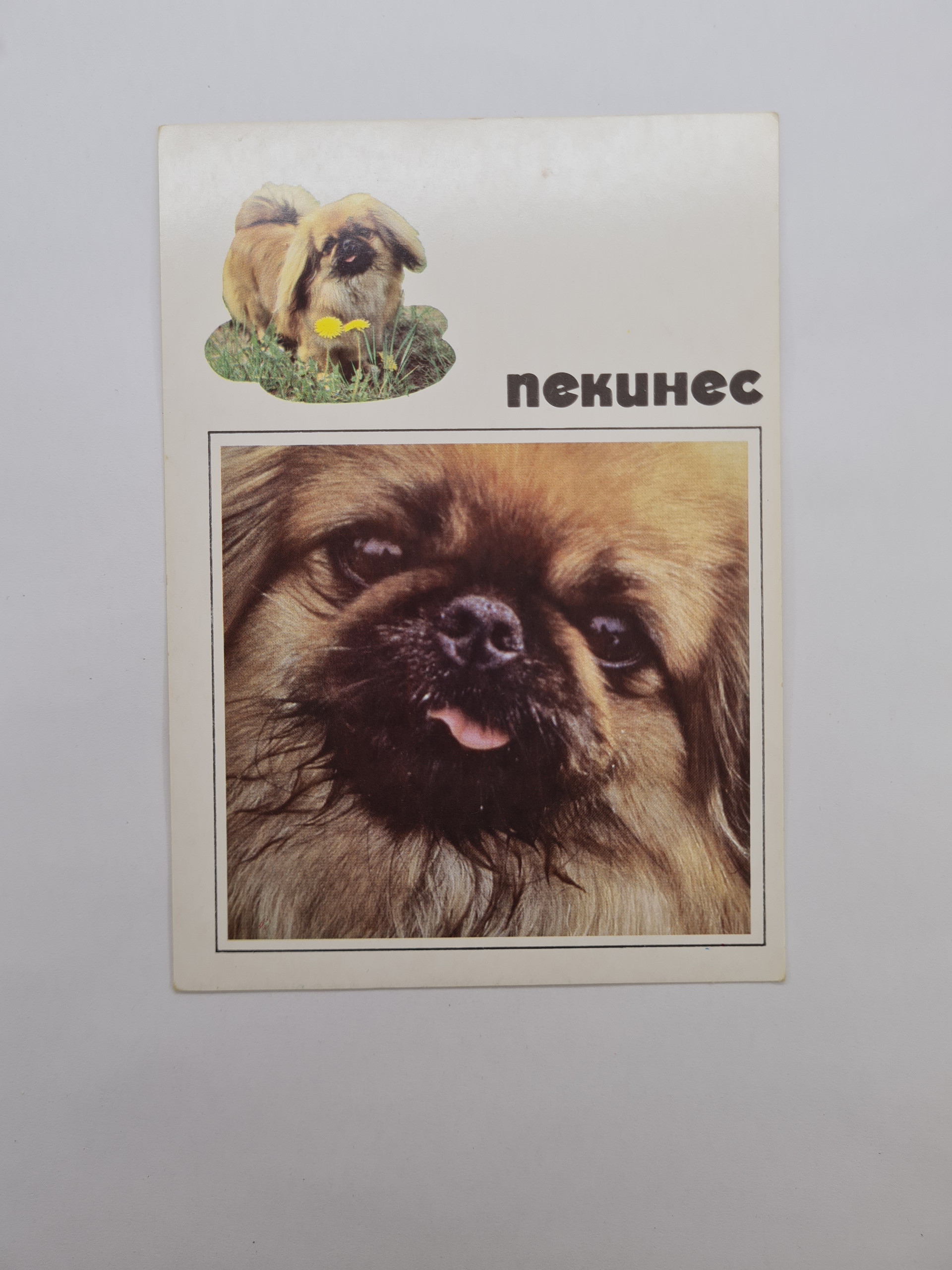 Картинка 1