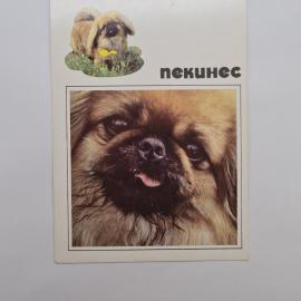Картинка 1