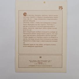 Картинка 2