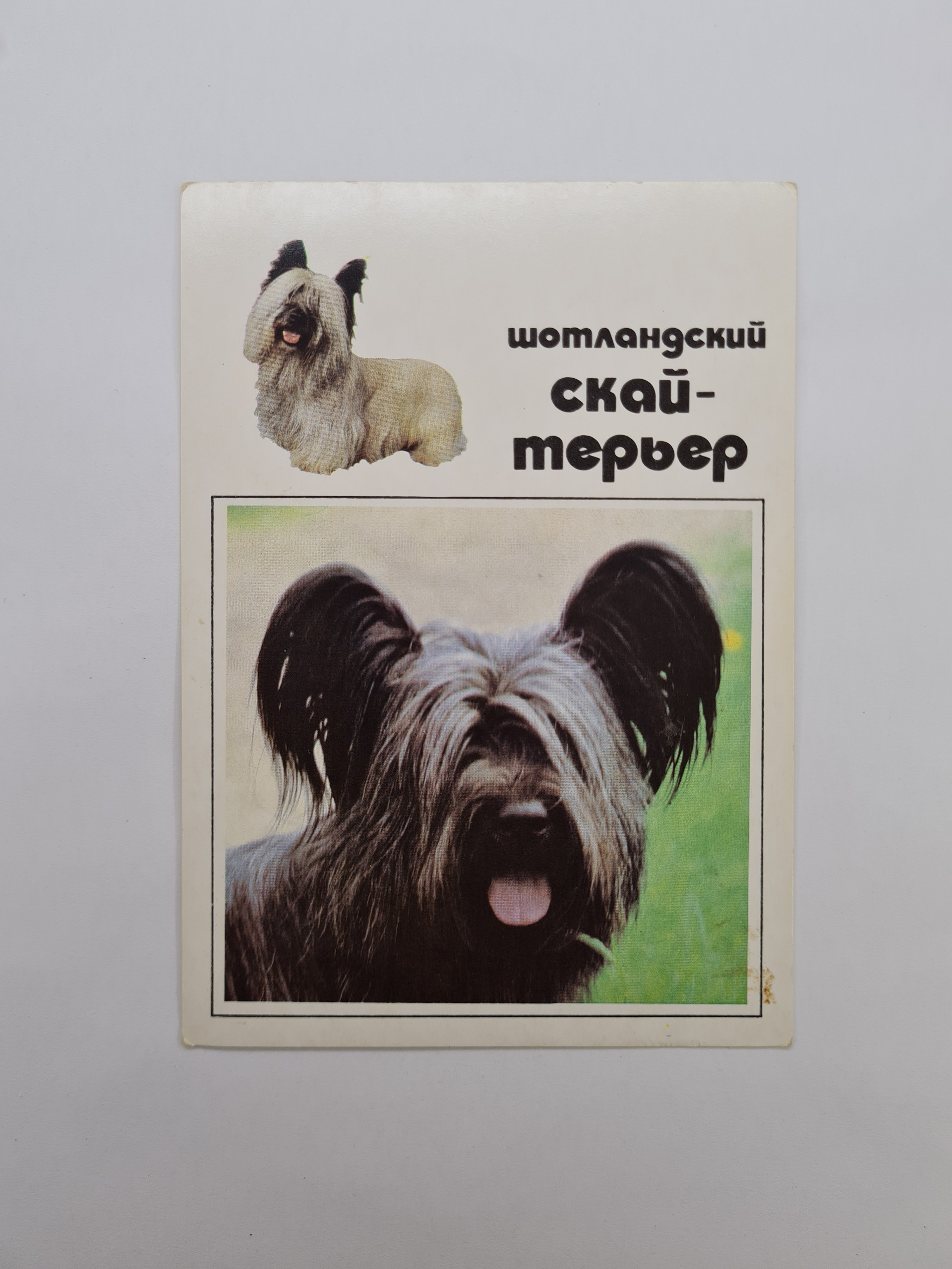 Картинка 1