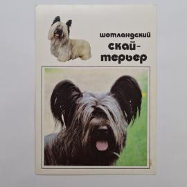 Картинка 1