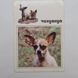 Картинка 1