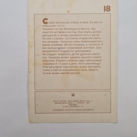 Картинка 2