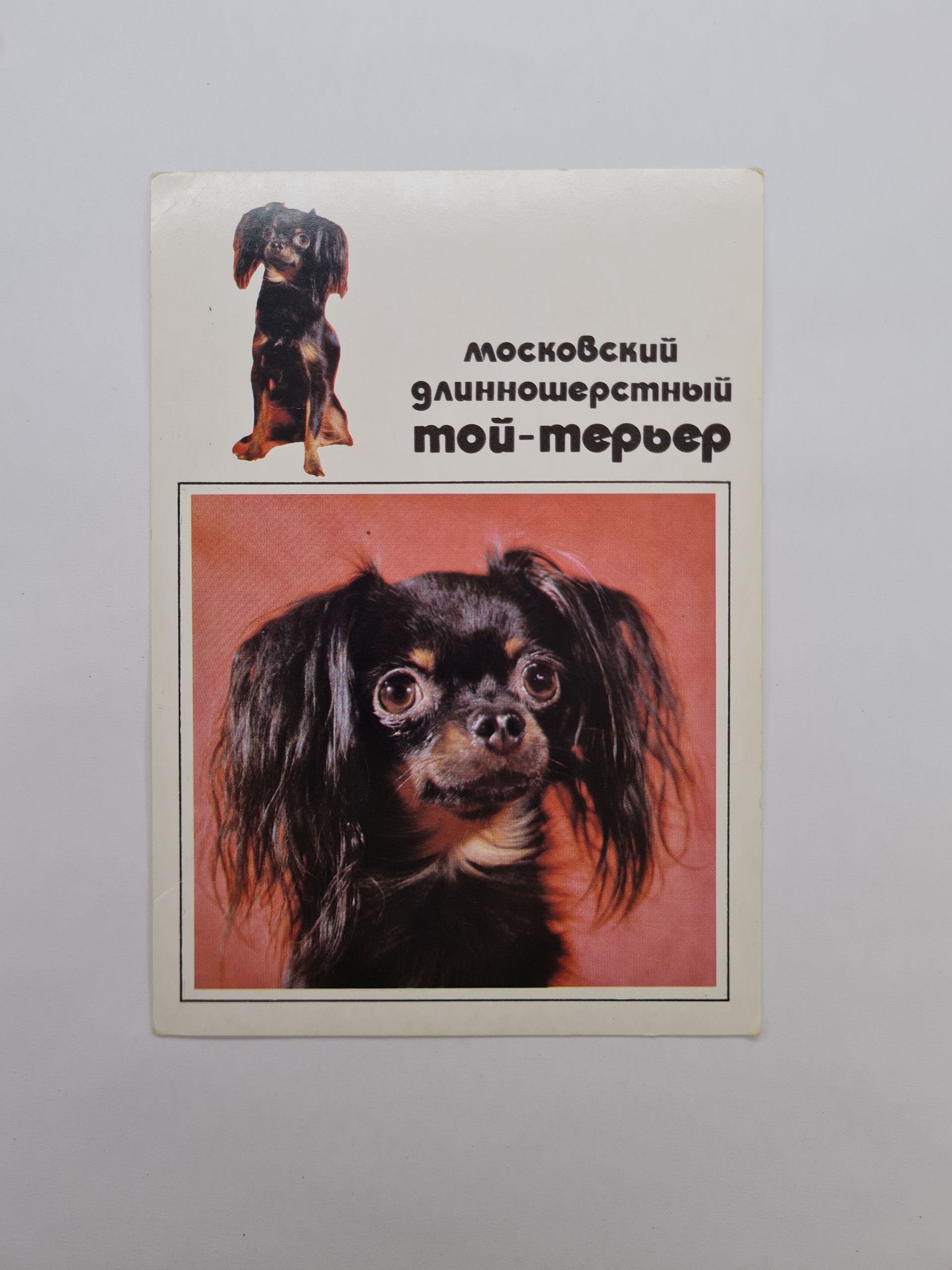Картинка 1