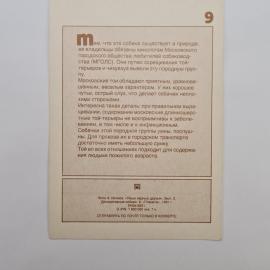 Картинка 2