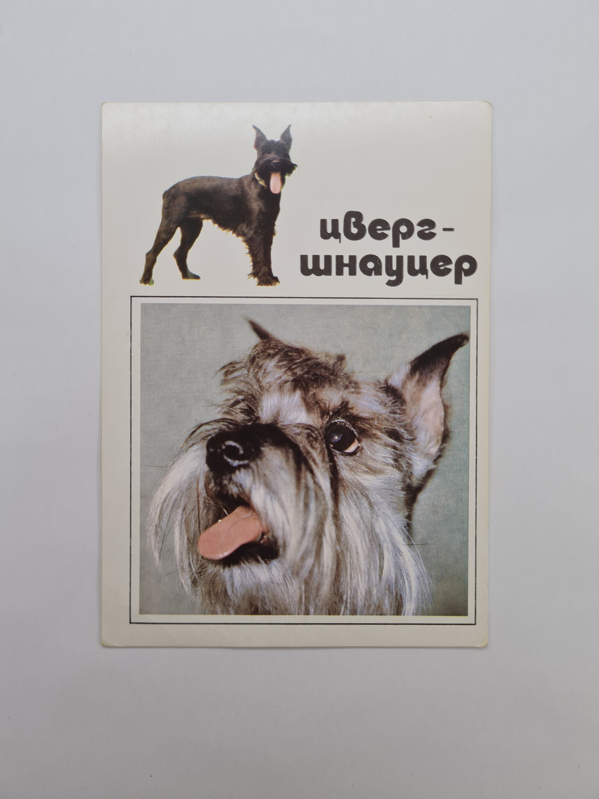 Картинка 1