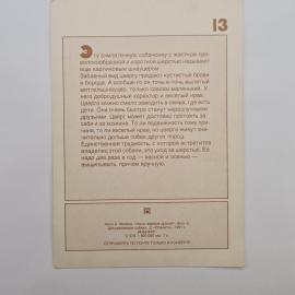 Картинка 2