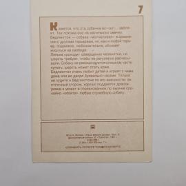 Картинка 2