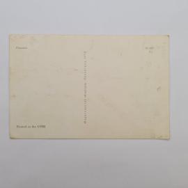 Картинка 2