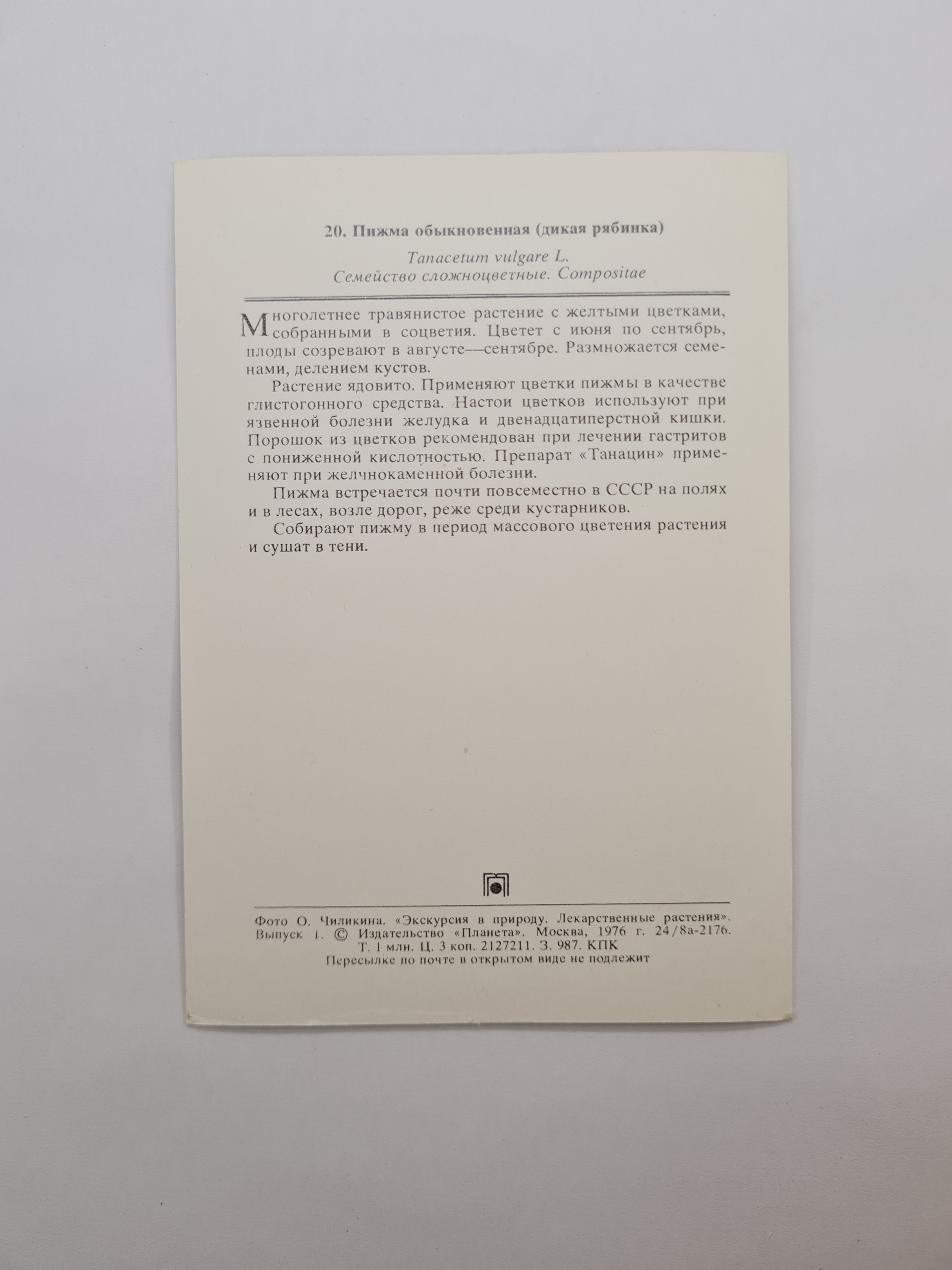 Картинка 2