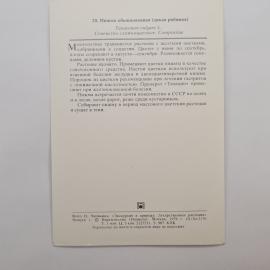 Картинка 2