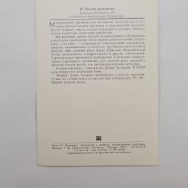 Картинка 2