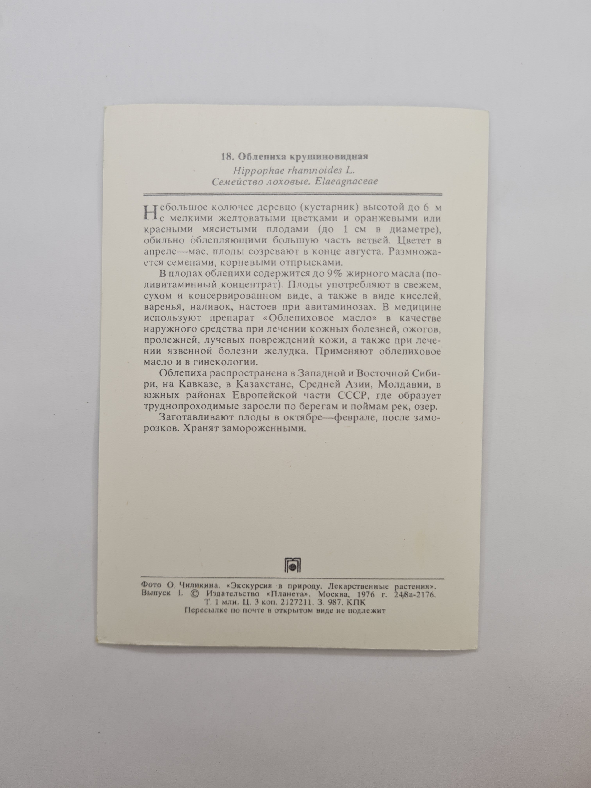 Картинка 2